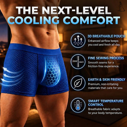 EXCLUSIVE 80% OFF 🔥2026 Premium IceSilk Leakproof Boxer Briefs 💧 Up to 300mL Absorbency | Cooling IceSilk Comfort