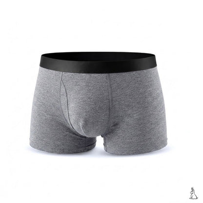 EXCLUSIVE 80% OFF + GIFT🔥 BoxersGuard™  2026 VERSION Men’s Ultra-Absorbent Boxer Briefs